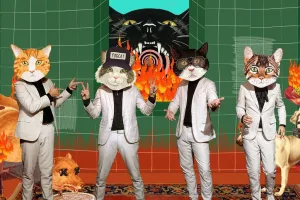 Fantastic Cat