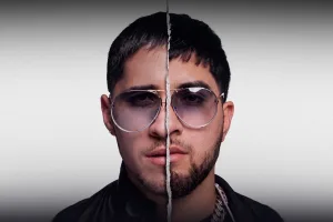 Los Gemelos De Sinaloa
