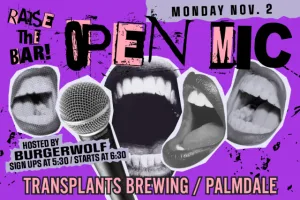 RAISE THE BAR: OPEN MIC NIGHT