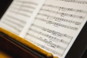 Rutenberg Chamber Music Series Guest: Sohn / Blaha Duo