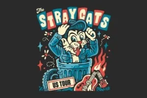 THE STRAY CATS