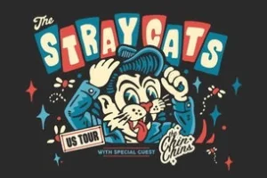 THE STRAY CATS