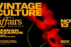 Vintage Culture