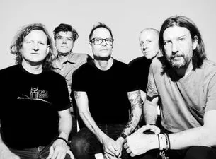 Gin Blossoms