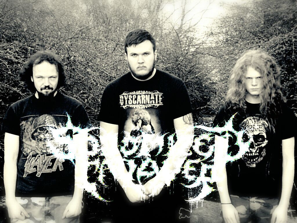 Sodomized Cadaver