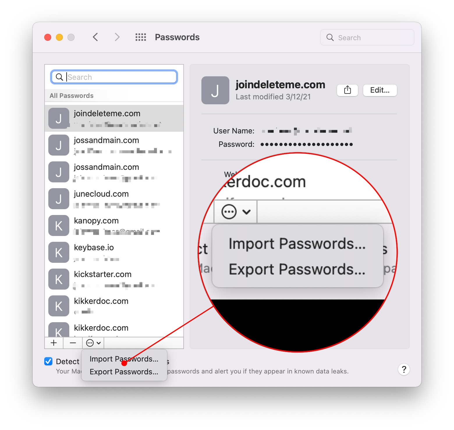 Importing and exporting passwords is possible from the Passwords section of System Preferences or Safari's Preferences.